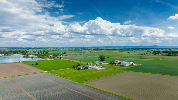 istock Agricultural fields and farm - view from above 1398299618