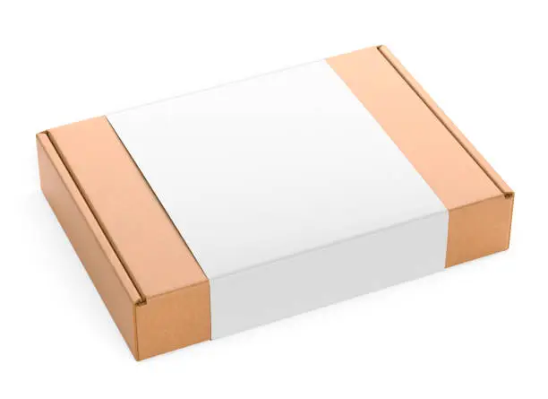 Cardboard box, craft paper package with blank cover isolated on white background. 3D illustration