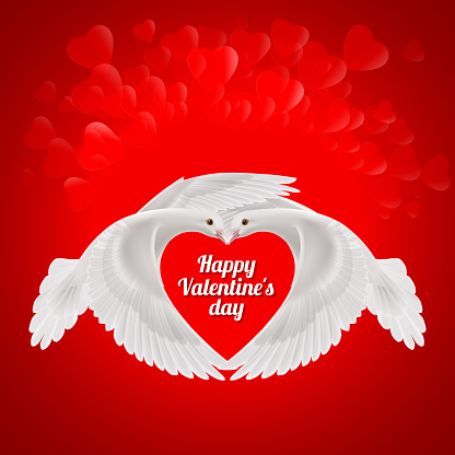 Two white doves makes the shape of the wings of the red heart. Love symbol