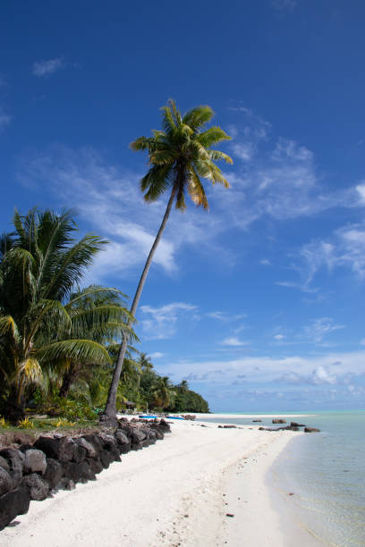 istock Paradise beach at Maupiti 1398303545