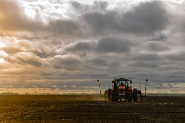 istock A tractor with a seed drill is engaged in planting corn. Agricultural industry development concept. 1398308558