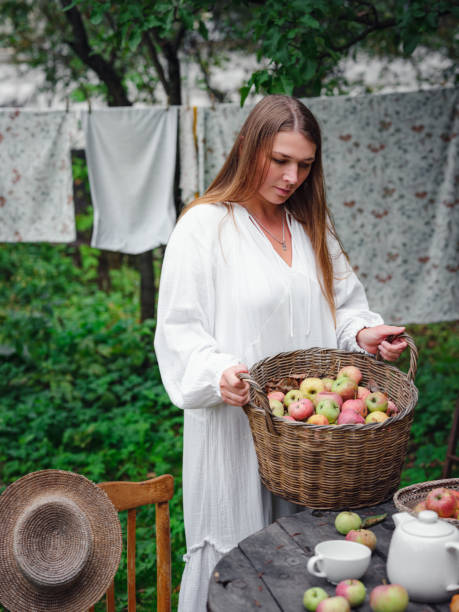 middle-aged woman picks apples in the garden.