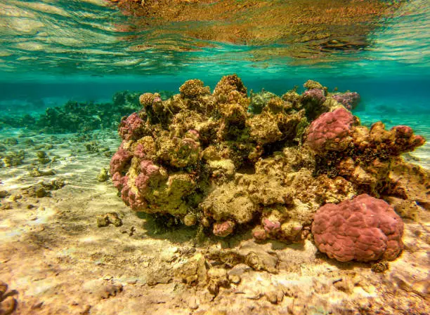 Maupiti - French Polynesia