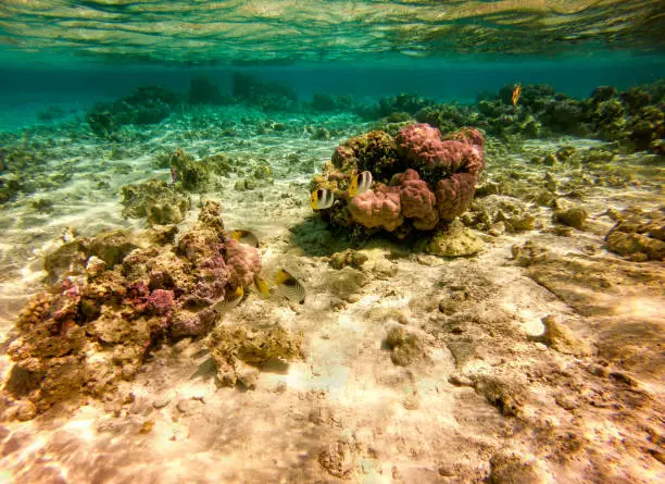 Maupiti - French Polynesia