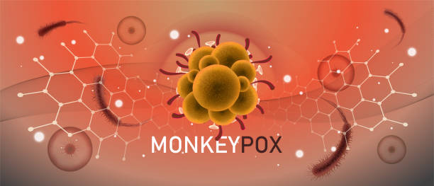 Monkeypox virus pandemic design with  microscopic view background. Monkey Pox outbreak. Vector Illustration. Monkeypox virus banner for awareness and alert against disease spread, symptoms or precautions. Monkey Pox virus outbreak pandemic design with  microscopic view background. mpox stock illustrations