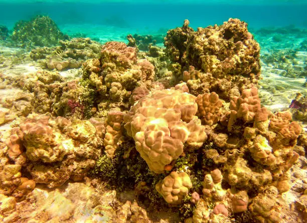 Maupiti - French Polynesia