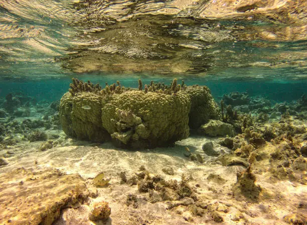 Maupiti - French Polynesia