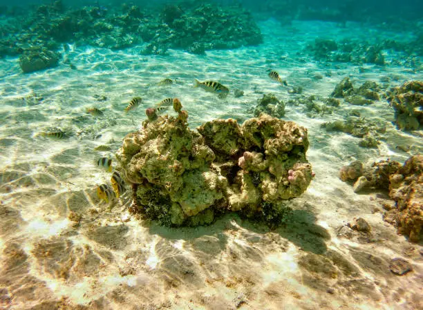 Maupiti - French Polynesia