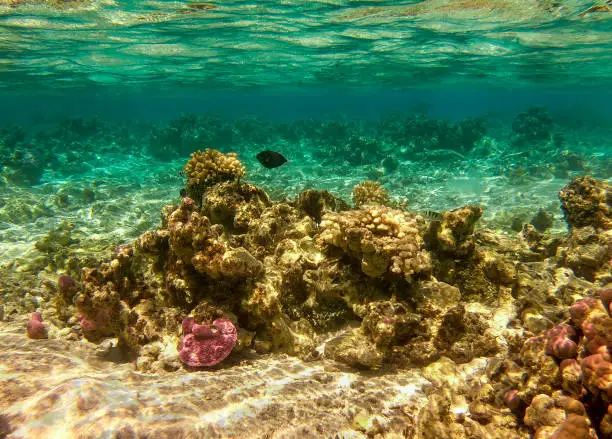 Maupiti - French Polynesia