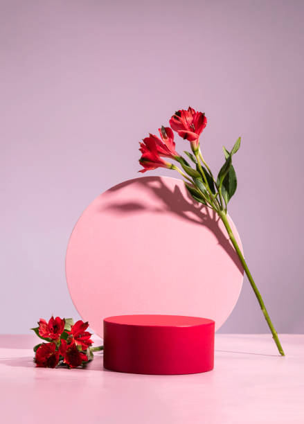 Red cylindrical podium, Cosmetic display stand with flowers on pink background stock photo