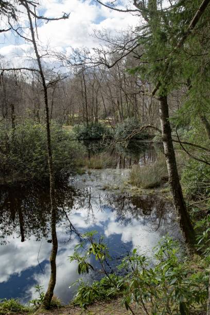 istock Murky Waters Of A Winter Loch. 1398315642