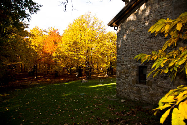 istock Autumn in Emilia 1398317205