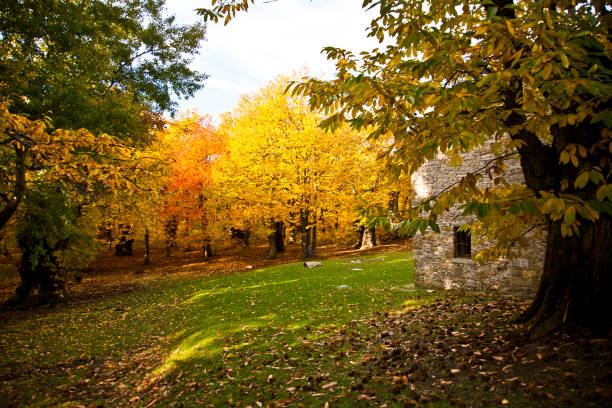istock Autumn in Emilia 1398317382