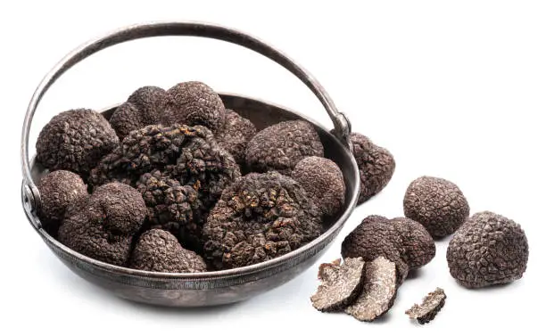 Photo of Black winter truffles in the old-fashioned tin bowl isolated on white background.