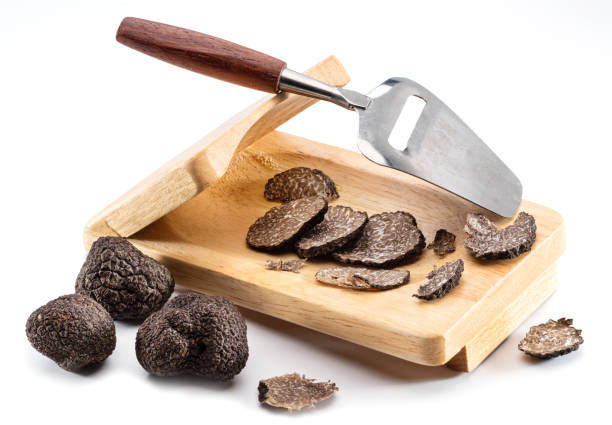 Black edible winter truffle on white background. The most famous of the truffles. stock photo
