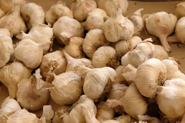 Garlic cloves in close-up on a market stall
