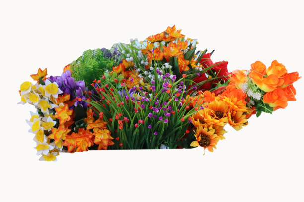 istock bouquet of various flowers with a white background 1398321136