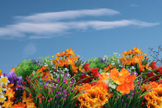 istock bouquet of various flowers with blue sky background 1398321141