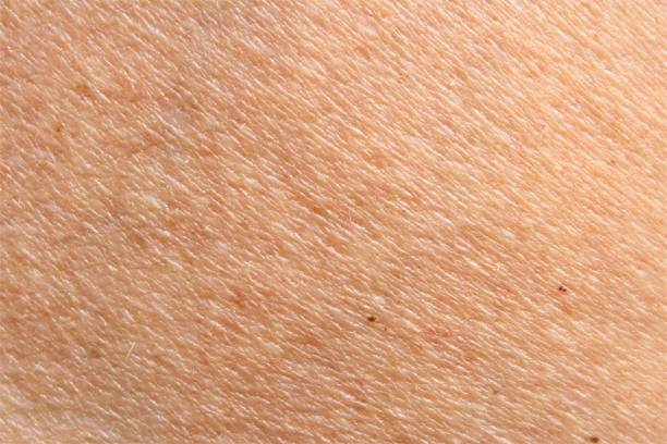 Human skin texture stock photo