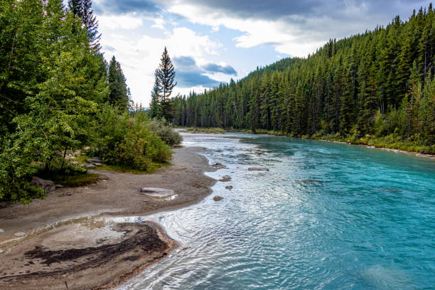 istock Lake Louise Banff National Park Alberta Caanda 1398326029