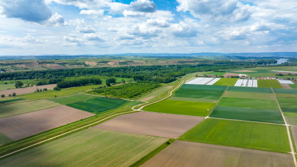 istock Agricultural fields and farm - view from above 1398328462