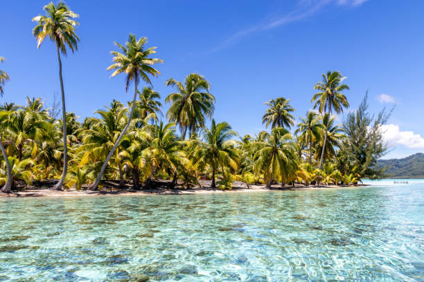 istock Paradise lagoon at Tahaa 1398333137
