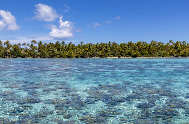 istock Paradise lagoon at Tahaa 1398334605