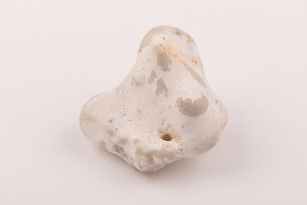 Flint Silica mineral found as nodule in Cretaceous chalk rock, UK