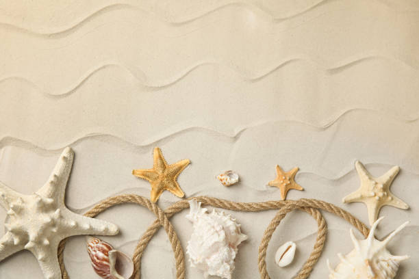 istock Beautiful sea stars, shells and rope on sand, flat lay. Space for text 1398340099