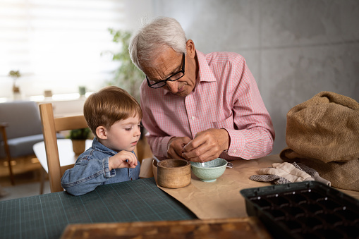 Caucasian grandfather preparing seeds for planting, while his toddler grandson assist to him
