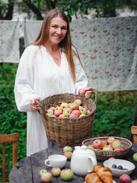 middle-aged woman picks apples in the garden.