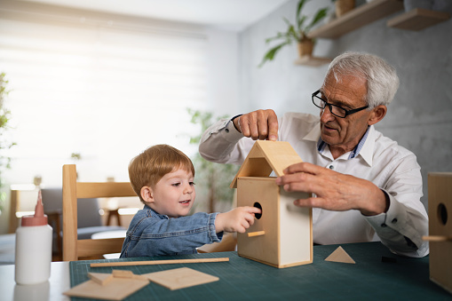 Dedicated Caucasian grandfather and toddler grandson together making a birdhouse