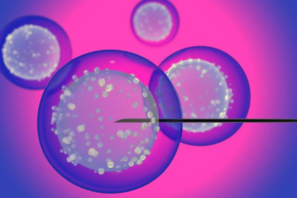 istock Artificial insemination concept. Syringe penetrating the cell on a red background. 3D render. 1398343284