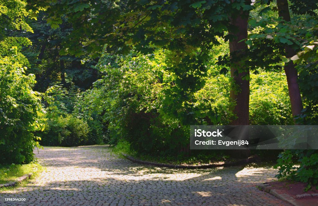 Scenic landscape view of winding cobblestone trails through the green leaves trees on a sunny day. Arboretum Sofiyivsky Park in Uman. Nature landscape with old trees. Concept of landscape and nature Scenic landscape view of winding cobblestone trails through the green leaves trees on a sunny day. Arboretum Sofiyivsky Park in Uman. Nature landscape with old trees. Concept of landscape and nature. Ancient Stock Photo