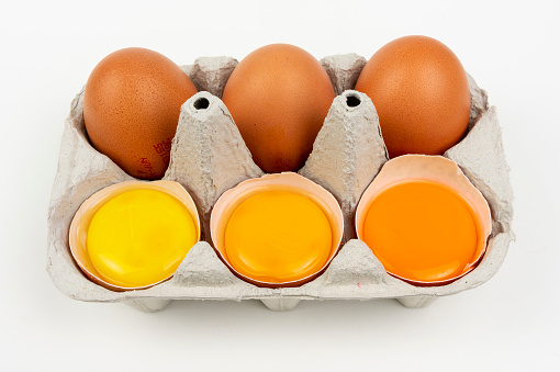 Yolk different colours of chicken egg, yellow and orange, dark and bright, chicken and hen