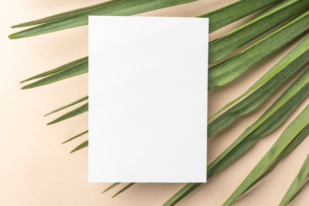 istock White invitation card mockup with a palm tree on a beige table. 5x7 size, A6, A5 flyers 1398350718