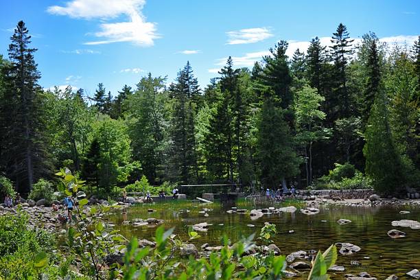 istock Bar Harbor/Acadia National Park/Mount Desert Island 1398350913