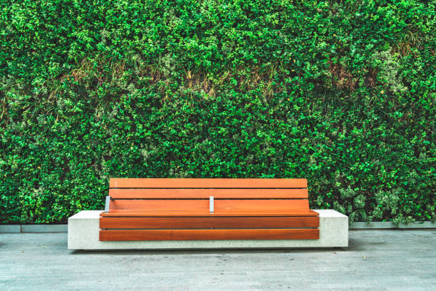 banc en bois avec mur végétal dans le parc de bureaux - dirty bench empty park photos et images de collection