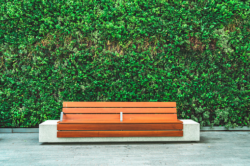 Wooden bench with plant wall in the office park