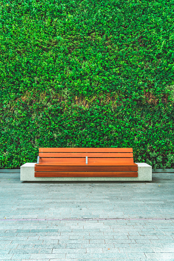 Wooden bench with plant wall in the office park