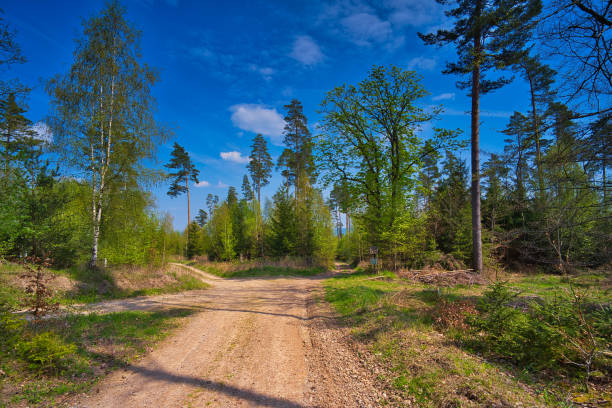 istock on the Rennsteig in the Thuringian Forest 1398355267