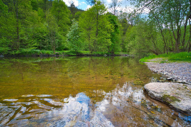 istock the Schwarza in the Schwarzatal 1398355327