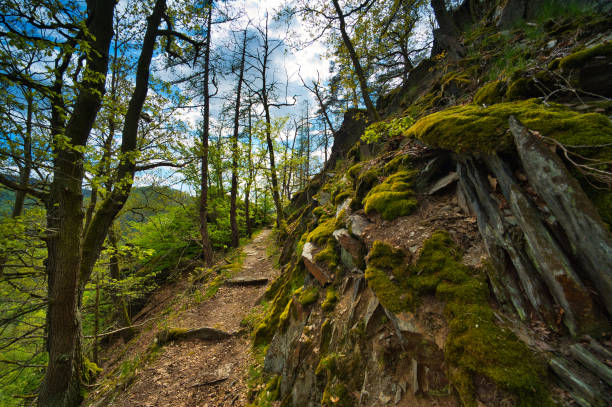 istock on the Rennsteig in the Thuringian Forest 1398355913