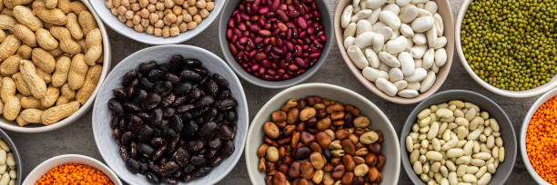 istock Different types of legumes in bowls 1398356656