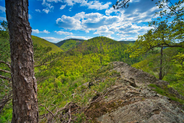 istock on the Rennsteig in the Thuringian Forest 1398356975