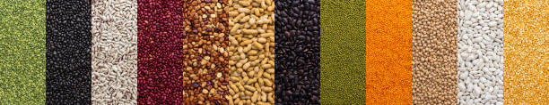 istock Banner of different types of legumes 1398357018