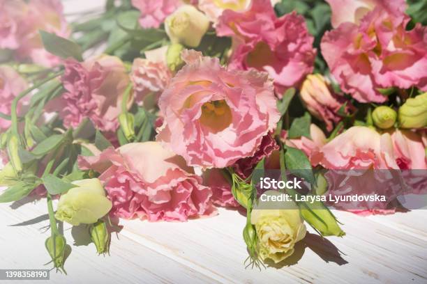Large Pink Eustoma Flower In A Bouquet Stock Photo - Download Image Now - Backgrounds, Beauty, Beauty In Nature