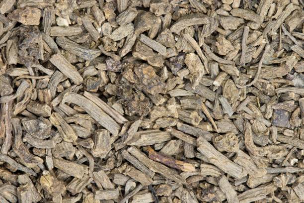 istock Dried Valerian root pieces (Valeriana officinalis), closeup background image. 1398360764