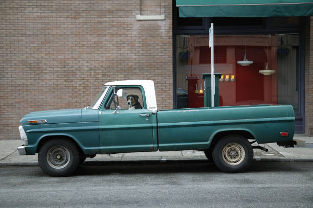 istock Dog &  Truck 1398362766