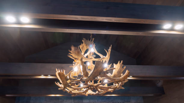 Unusual chandelier made of deer horns or antlers hanging indoors of home or hotel. Suspension light made from horn. Unusual chandelier made of deer horns or antlers hanging indoors of home or hotel. Suspension light made from horn. Chandelier made of deer antlers on a wooden background. antler chandelier stock pictures, royalty-free photos & images